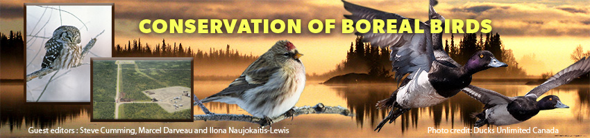 Conservation of Boreal Birds